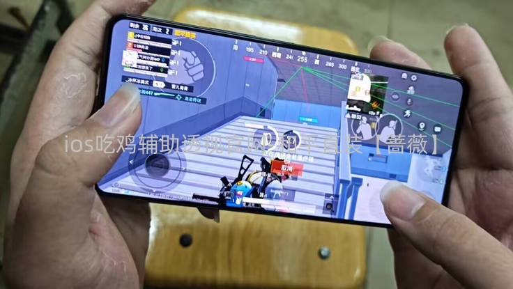 ios吃鸡辅助透视官网-和平直装【蔷薇】